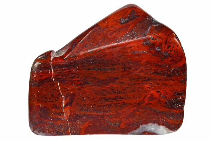 Polished Stromatolite (Collenia) - Minnesota #104435